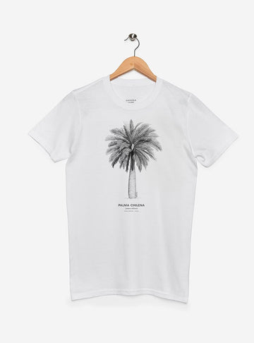 polera manga corta diseño palma chilena Chile
ropa con árbol nacional Chile manga corta
polera algodón unisex palma chilena coquito Chile
regalo con palma chilena árbol nacional Chile
ropa flora endémica zona central Chile manga corta