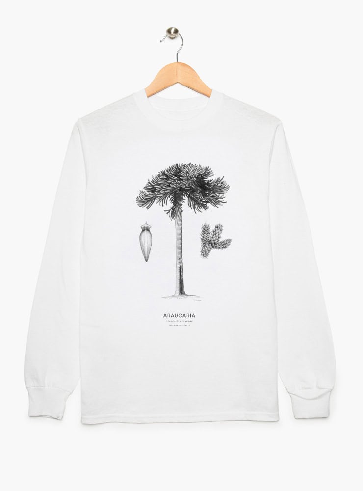 polera manga larga diseño araucaria Chile
ropa con árbol sagrado mapuche pehuén Chile manga larga
polera algodón unisex árbol milenario Chile manga larga
regalo con araucaria pehuén Chile manga larga
ropa conservación bosque nativo Chile manga larga