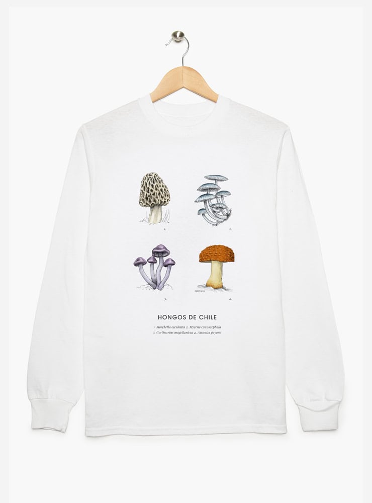 polera manga larga diseño hongos nativos Chile
ropa con hongos endémicos bosque chileno manga larga
polera algodón unisex hongos nativos Chile manga larga
regalo con hongos nativos bosque sur Chile manga larga
ropa fungi endémico Chile manga larga entretiempo