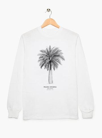 polera manga larga diseño palma chilena Chile
ropa con árbol nacional Chile manga larga
polera algodón unisex flora endémica Chile
regalo con palma chilena árbol milenario Chile
ropa liviana flora nativa Chile entretiempo