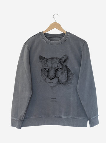 Polerón Osorno Puma