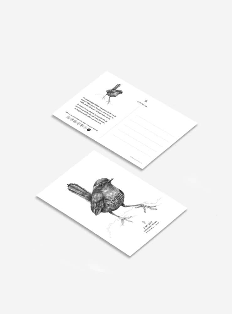 pack 6 postales diseño fauna flora nativa Chile
pack postales ilustración fauna chilena 10x15
regalo pack postales fauna Chile
pack postales regalo biodiversidad Chile
pack postales fauna flora nativa Chile precio especial
