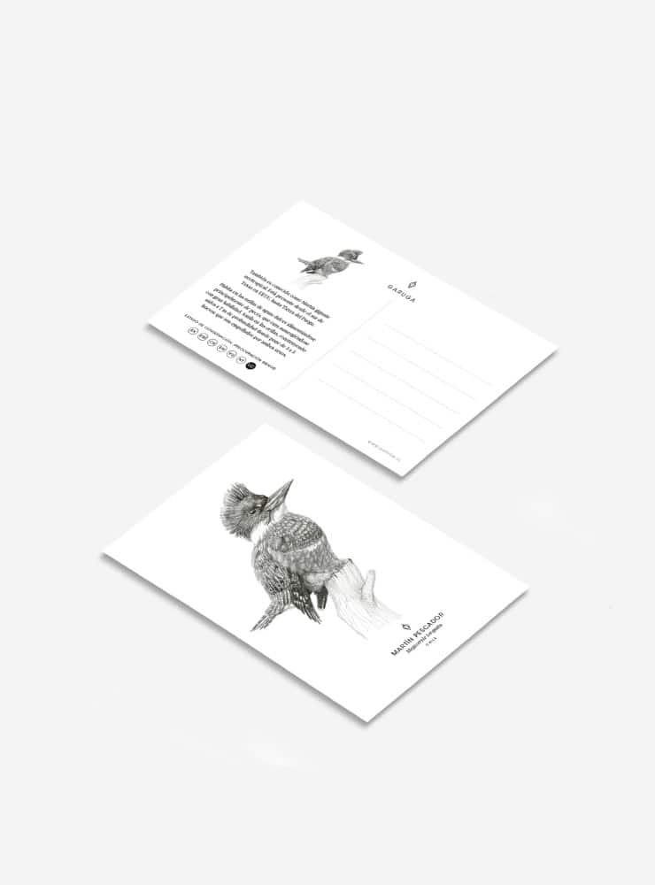 pack 6 postales diseño fauna flora nativa Chile
pack postales ilustración fauna chilena 10x15
regalo pack postales fauna Chile
pack postales regalo biodiversidad Chile
pack postales fauna flora nativa Chile precio especial