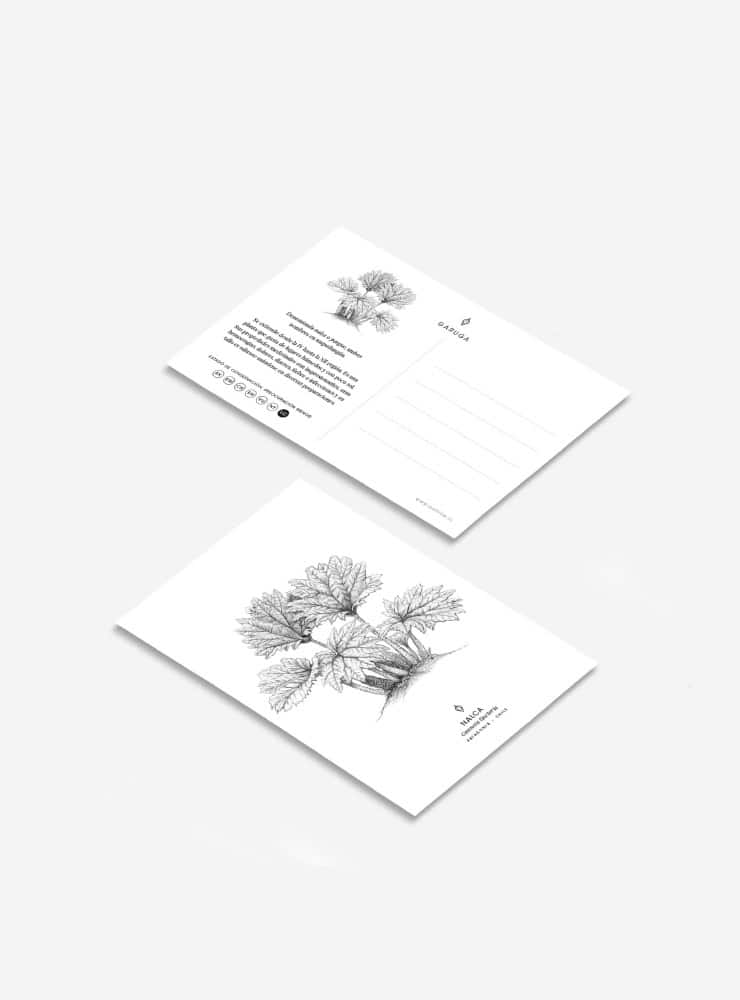 pack 6 postales diseño fauna flora nativa Chile
pack postales ilustración fauna chilena 10x15
regalo pack postales fauna Chile
pack postales regalo biodiversidad Chile
pack postales fauna flora nativa Chile precio especial