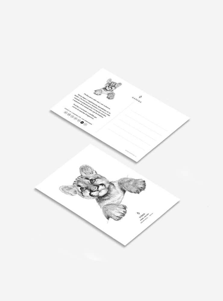 pack 6 postales diseño fauna flora nativa Chile
pack postales ilustración fauna chilena 10x15
regalo pack postales fauna Chile
pack postales regalo biodiversidad Chile
pack postales fauna flora nativa Chile precio especial