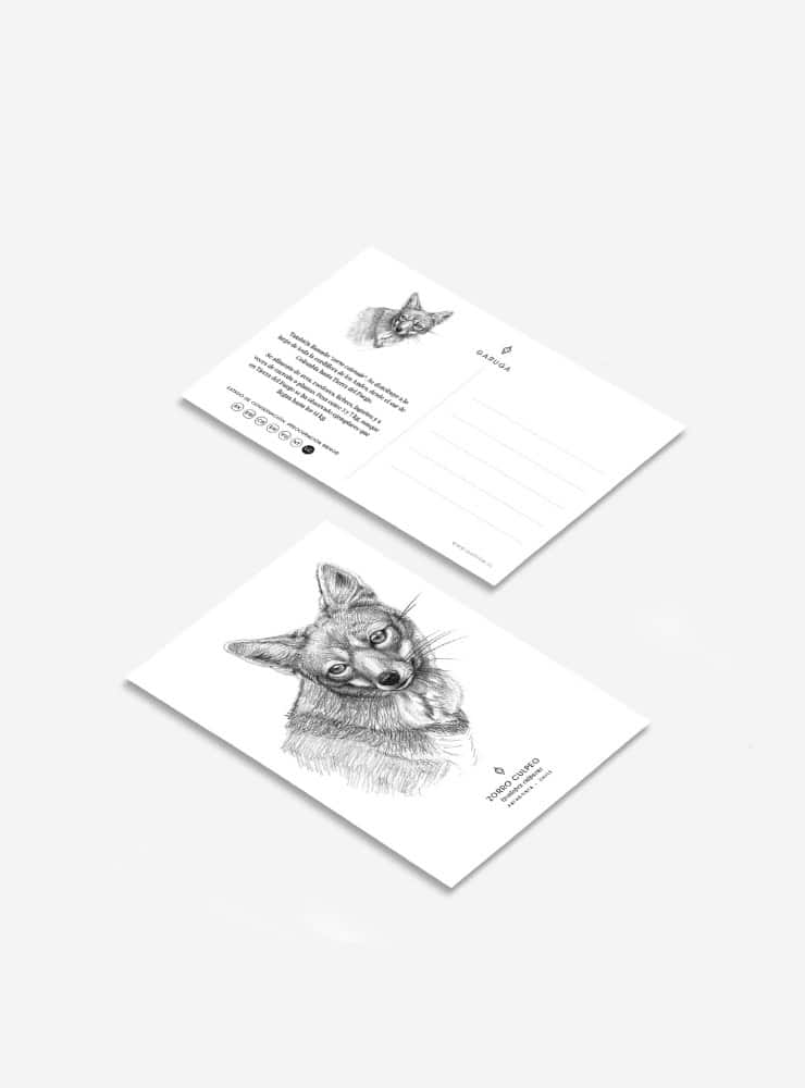 pack 6 postales diseño fauna flora nativa Chile
pack postales ilustración fauna chilena 10x15
regalo pack postales fauna Chile
pack postales regalo biodiversidad Chile
pack postales fauna flora nativa Chile precio especial