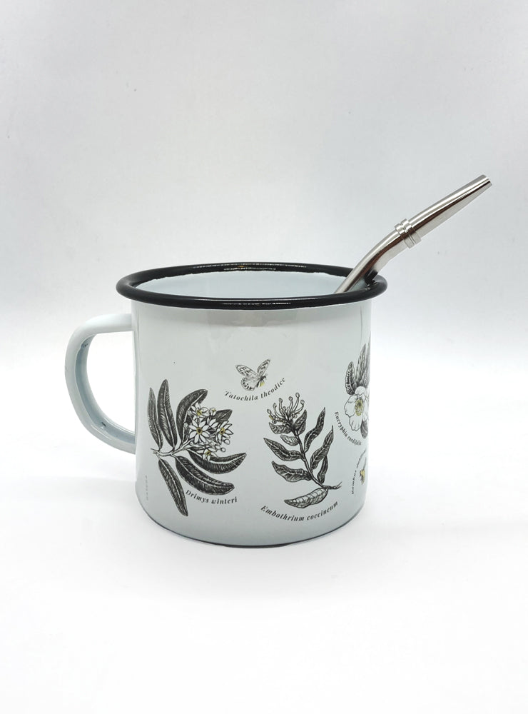 fauna flora nativa Chile pack regalo mate
pack regalo Garuga Chile sustentable consciente
regalo curado fauna Chile pack tomar mate
conservación Chile pack regalo mate fauna