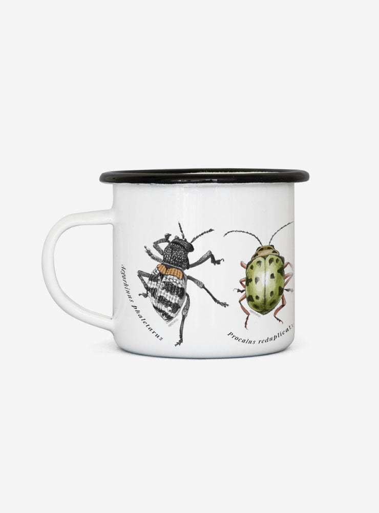 fauna flora nativa Chile pack regalo mate
pack regalo Garuga Chile sustentable consciente
regalo curado fauna Chile pack tomar mate
conservación Chile pack regalo mate fauna