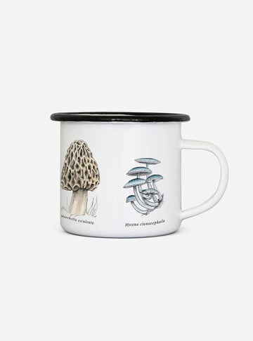 tacho enlozado hongos Chile
tacho enlozado fungi nativos Chile
tacho camping hongos nativos Chile
Garuga tacho enlozado hongos Fundación Fungi