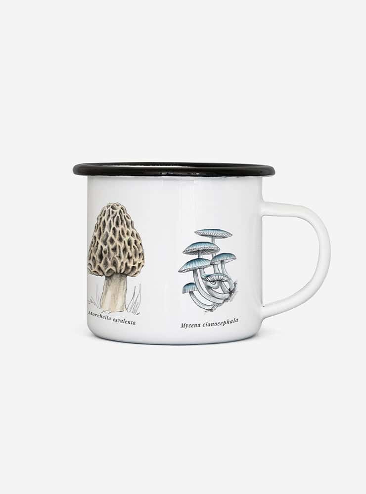 tacho enlozado hongos Chile
tacho enlozado fungi nativos Chile
tacho camping hongos nativos Chile
Garuga tacho enlozado hongos Fundación Fungi