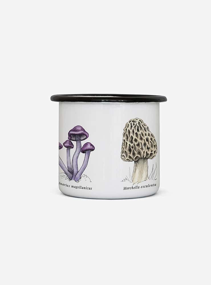 tacho enlozado hongos Chile
tacho enlozado fungi nativos Chile
tacho camping hongos nativos Chile
Garuga tacho enlozado hongos Fundación Fungi