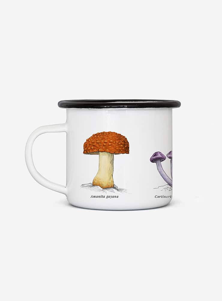 tacho enlozado hongos Chile
tacho enlozado fungi nativos Chile
tacho camping hongos nativos Chile
Garuga tacho enlozado hongos Fundación Fungi