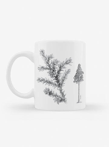 tazón cerámica diseño alerce Chile 330ml
regalo con alerce árbol milenario bosque nativo Chile
tazón apto microondas lavavajillas alerce Chile
regalo Día de la Madre tazón alerce Chile
tazón flora endémica bosque nativo Chile