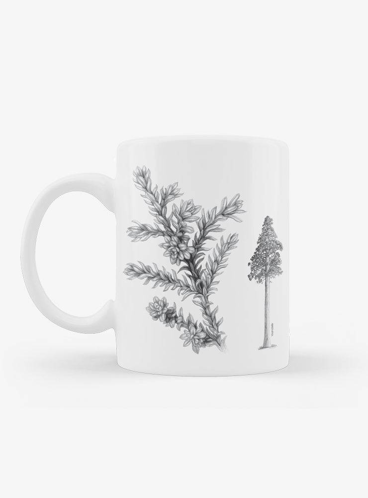 set 4 tazones cerámica flora nativa Chile
regalo set tazones alerce araucaria coihue nalca Chile
set tazones apto microondas flora nativa Chile
regalo Navidad set tazones flora nativa Chile
set tazones árboles endémicos Chile regalo hogar