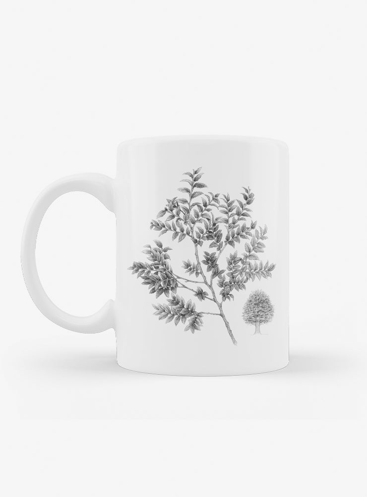 set 4 tazones cerámica flora nativa Chile
regalo set tazones alerce araucaria coihue nalca Chile
set tazones apto microondas flora nativa Chile
regalo Navidad set tazones flora nativa Chile
set tazones árboles endémicos Chile regalo hogar