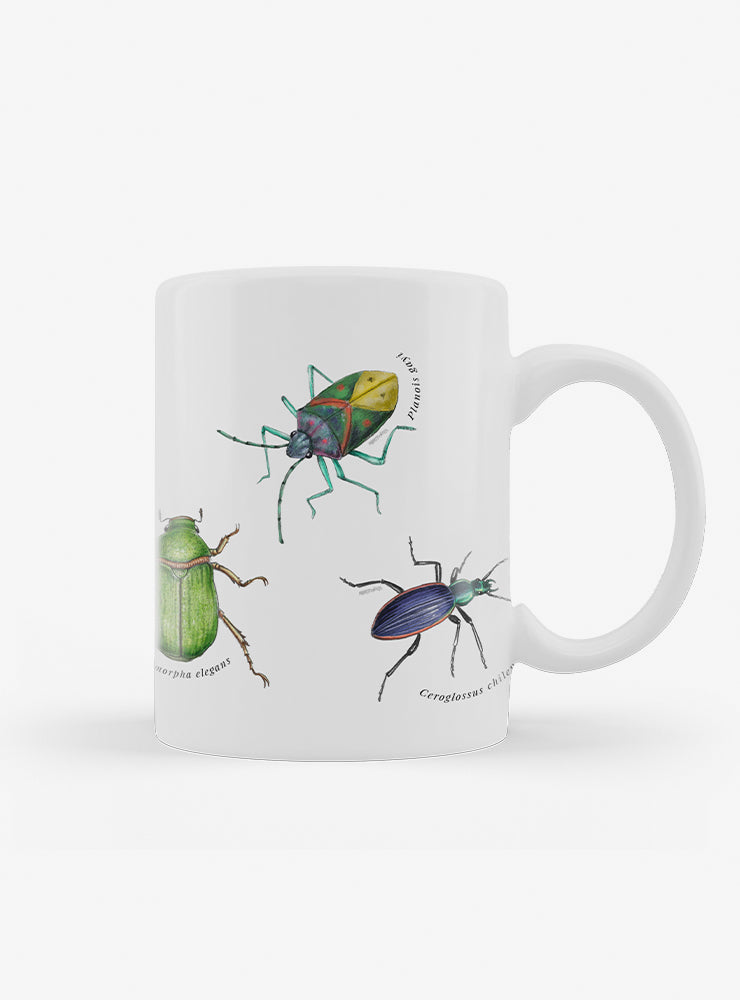 tazón cerámica diseño insectos nativos Chile 330ml
regalo con insectos endémicos bosque Chile
tazón apto microondas insectos nativos Chile
regalo Día de la Madre tazón insectos Chile
tazón fauna invertebrada bosque nativo Chile