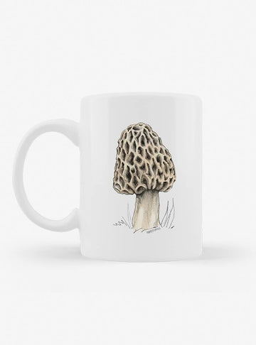 tazón cerámica diseño morchella Chile 330ml
regalo con morchella hongo comestible nativo Chile
tazón apto microondas lavavajillas morchella Chile
regalo Día de la Madre tazón morchella hongos Chile
tazón fungi comestible bosque nativo Chile