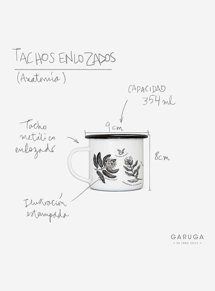 tacho enlozado hongos Chile
tacho enlozado fungi nativos Chile
tacho camping hongos nativos Chile
Garuga tacho enlozado hongos Fundación Fungi