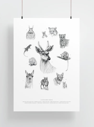 lámina grande para enmarcar fauna terrestre nativa Chile
decoración hogar con ilustración mamíferos Chile
lámina grande firmada ilustradora fauna terrestre Chile
regalo lámina grande fauna terrestre Chile hogar
lámina arte mamíferos endémicos Chile