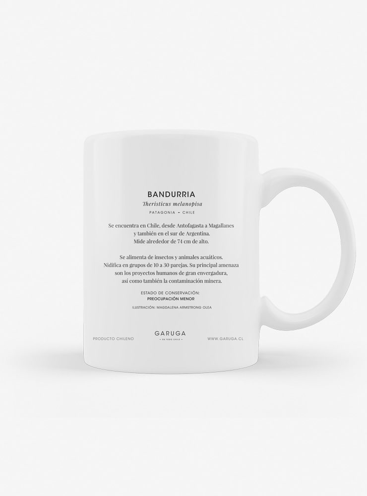 tazón cerámica diseño bandurria Chile 330ml
regalo con bandurria ave icónica campos Chile
tazón apto microondas lavavajillas bandurria Chile
regalo Día de la Madre tazón bandurria Chile
tazón aves nativas campos humedales Chile