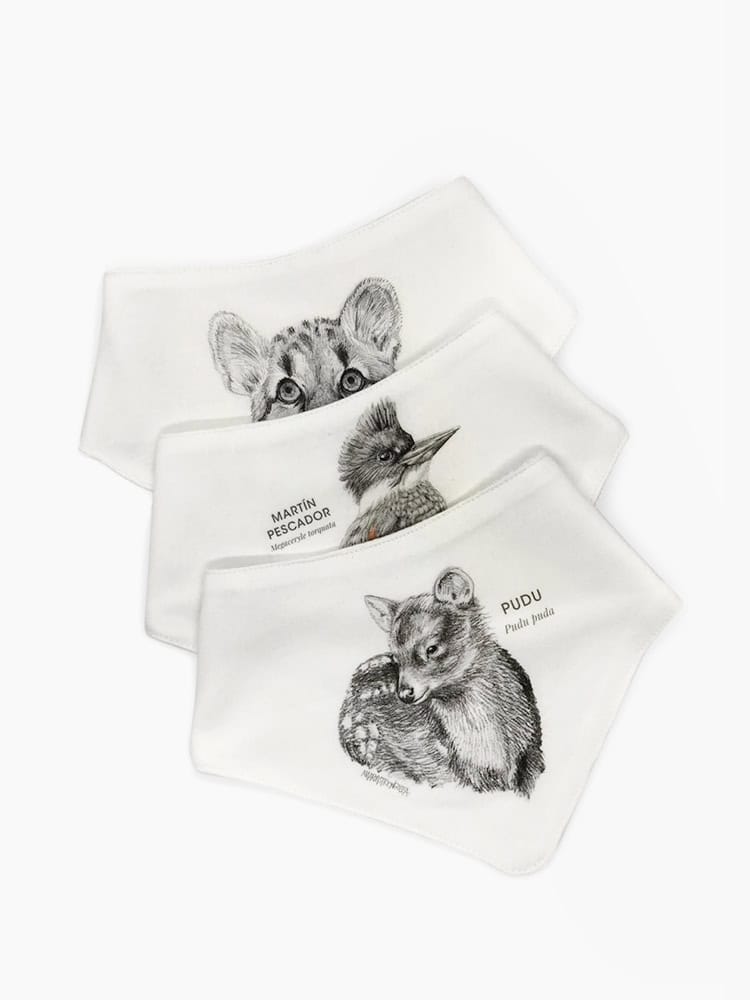 pack 3 baberos bebé diseño fauna nativa Chile
baberos algodón orgánico doble capa fauna chilena
regalo recién nacido pack baberos fauna Chile
baberos bebé absorbentes diseño fauna nativa
pack baberos bebé regalo baby shower Chile fauna