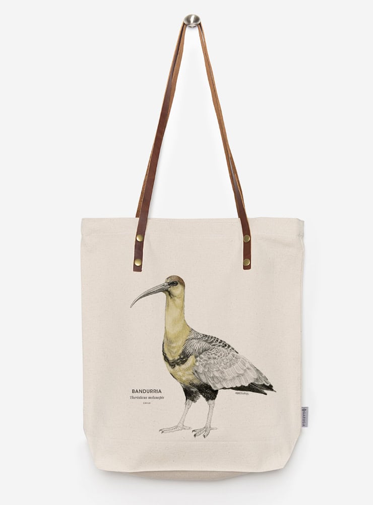 totebag diseño bandurria Chile
bolsa tela reutilizable bandurria fauna Chile
regalo totebag bandurria Chile
totebag alternativa plástico fauna chilena
totebag ilustración bandurria Chile sustentable