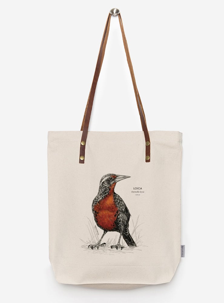 totebag diseño loica Chile
bolsa tela reutilizable loica fauna Chile
regalo totebag loica Chile
totebag alternativa plástico fauna chilena
totebag ilustración loica Chile sustentable
