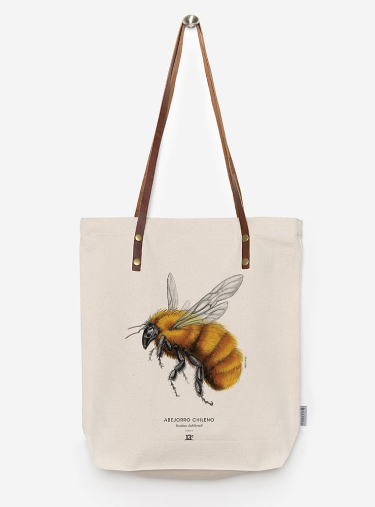 totebag diseño abejorro chileno Chile
bolsa tela reutilizable abejorro chileno fauna Chile
regalo totebag abejorro chileno Chile
totebag alternativa plástico fauna chilena
totebag ilustración abejorro chileno Chile sustentable