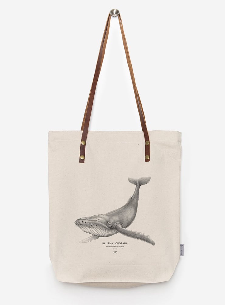totebag diseño ballena jorobada Chile
bolsa tela reutilizable ballena jorobada fauna Chile
regalo totebag ballena jorobada Chile
totebag alternativa plástico fauna chilena
totebag ilustración ballena jorobada Chile sustentable