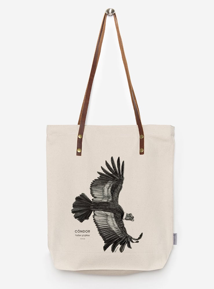 totebag diseño cóndor volando Chile
bolsa tela reutilizable cóndor volando fauna Chile
regalo totebag cóndor volando Chile
totebag alternativa plástico fauna chilena
totebag ilustración cóndor volando Chile sustentable