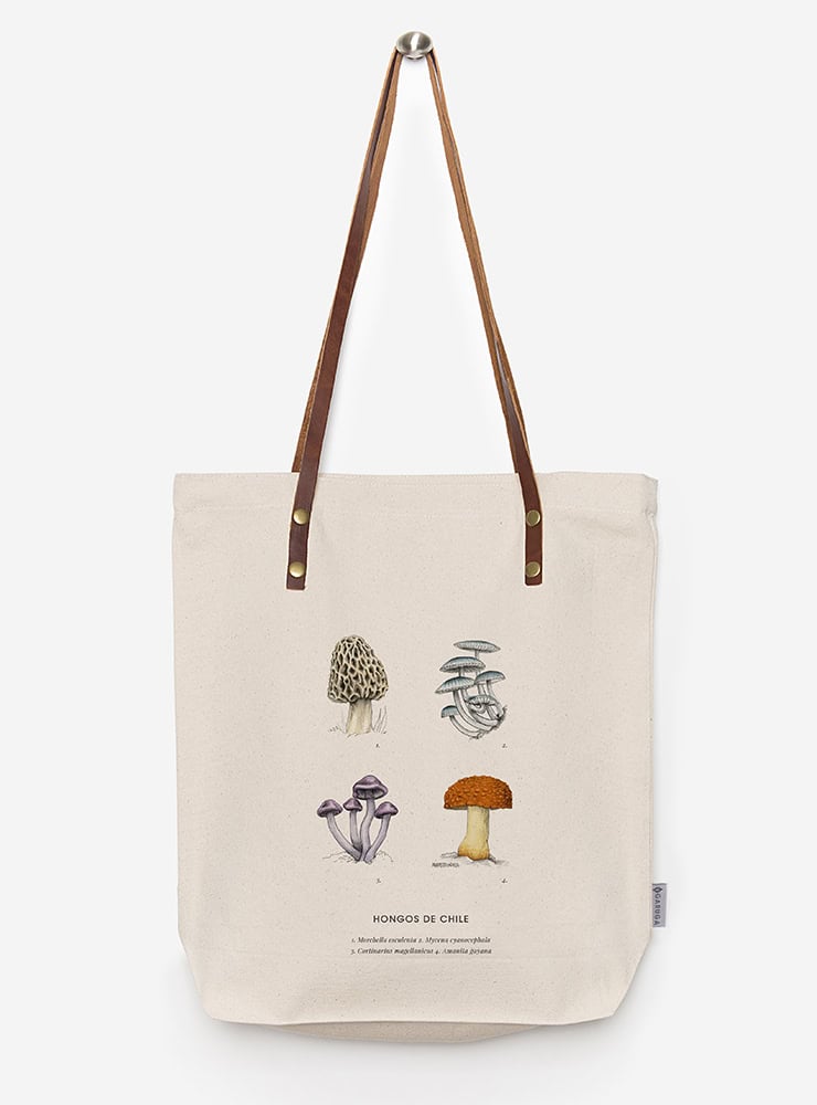 totebag diseño hongos Chile
bolsa tela reutilizable hongos fauna Chile
regalo totebag hongos Chile
totebag alternativa plástico fauna chilena
totebag ilustración hongos Chile sustentable