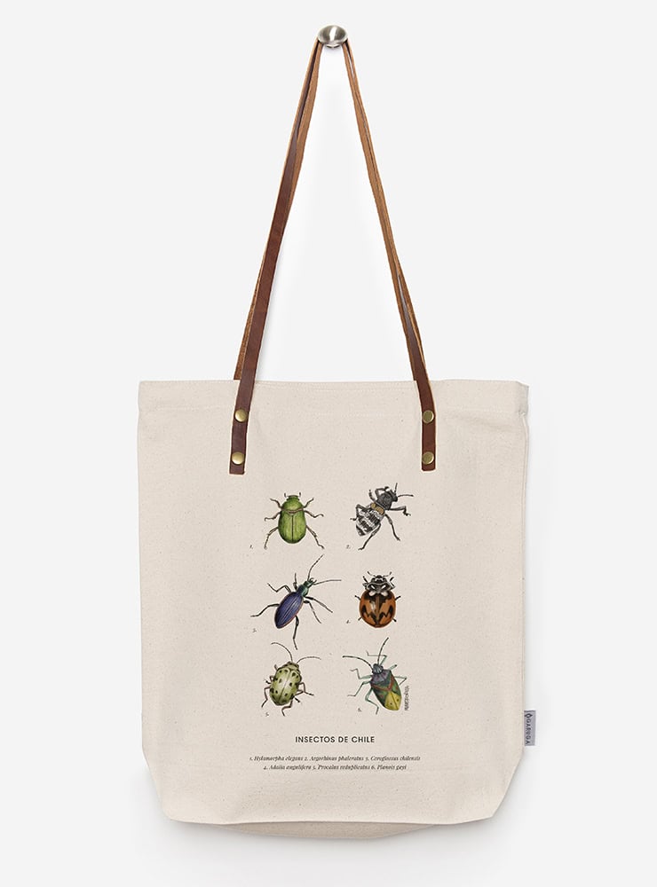 totebag diseño insectos de chile Chile
bolsa tela reutilizable insectos de chile fauna Chile
regalo totebag insectos de chile Chile
totebag alternativa plástico fauna chilena
totebag ilustración insectos de chile Chile sustentable