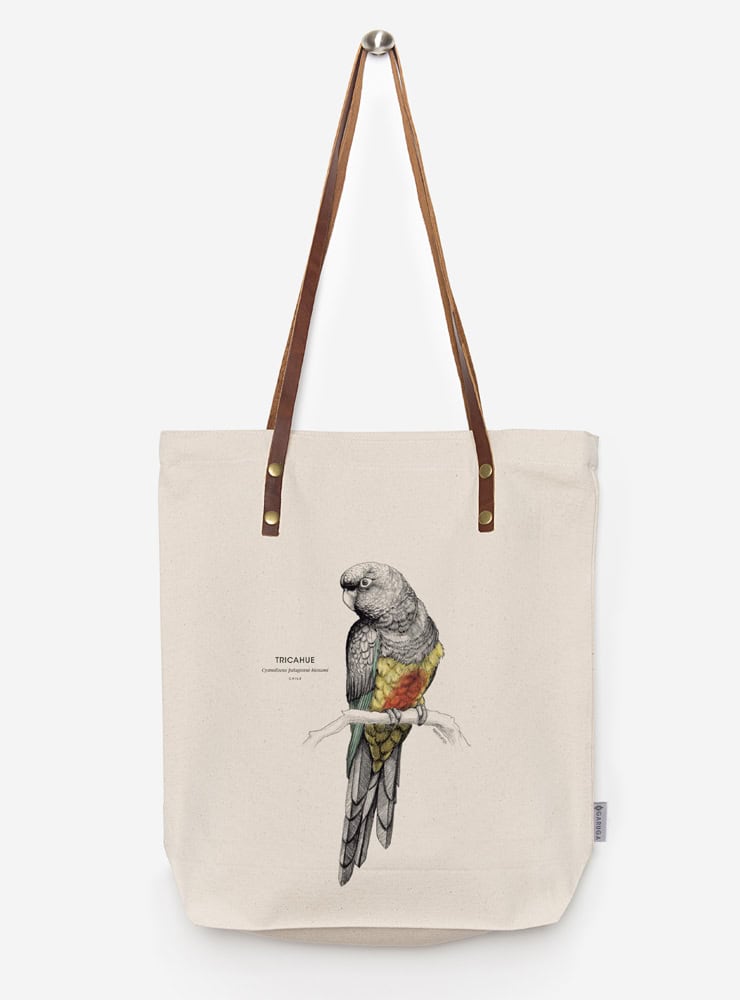 totebag diseño tricahue Chile
bolsa tela reutilizable tricahue fauna Chile
regalo totebag tricahue Chile
totebag alternativa plástico fauna chilena
totebag ilustración tricahue Chile sustentable