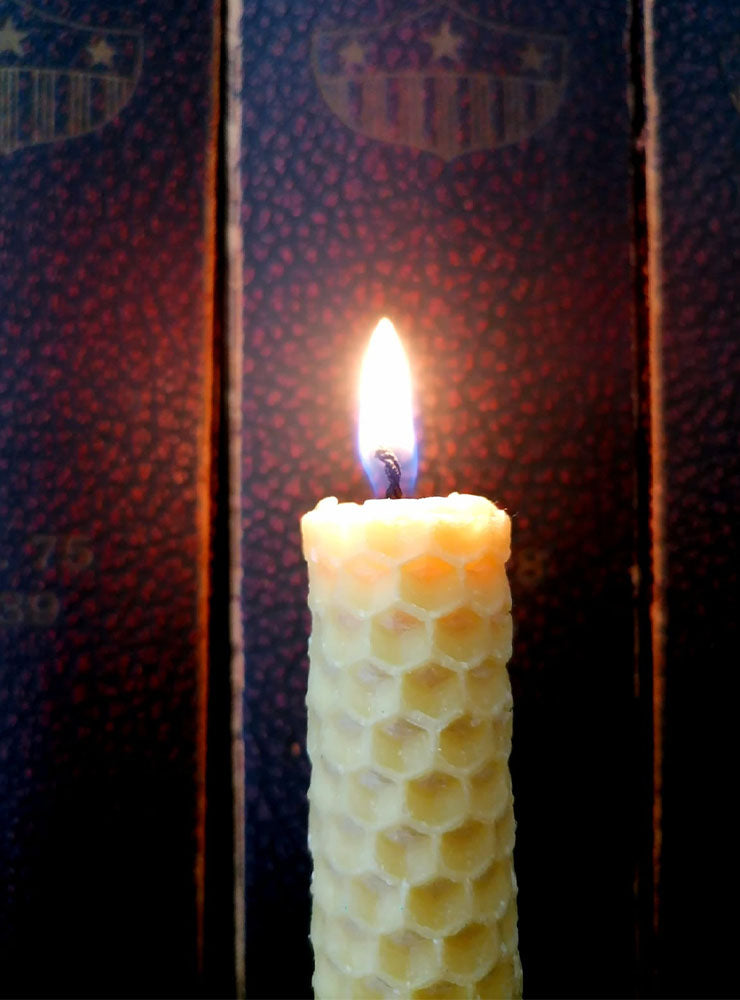 velas grandes diseño polinización flores nativas Chile
velas decoración hogar con flores nativas bosque chileno
velas grandes regalo flores nativas Chile
regalo velas grandes polinización fauna flora Chile
velas grandes decoración consciente Chile