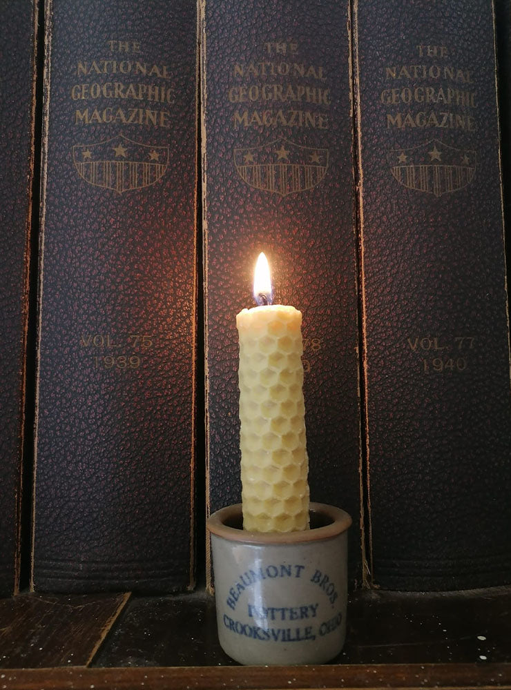 velas grandes diseño polinización flores nativas Chile
velas decoración hogar con flores nativas bosque chileno
velas grandes regalo flores nativas Chile
regalo velas grandes polinización fauna flora Chile
velas grandes decoración consciente Chile
