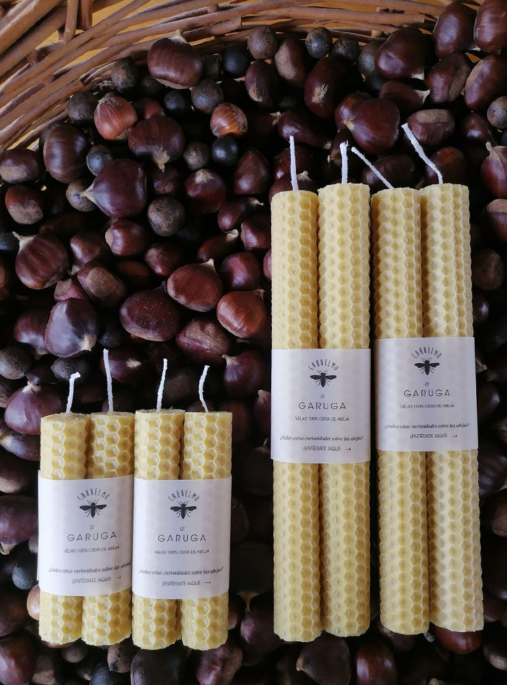 velas grandes diseño polinización flores nativas Chile
velas decoración hogar con flores nativas bosque chileno
velas grandes regalo flores nativas Chile
regalo velas grandes polinización fauna flora Chile
velas grandes decoración consciente Chile